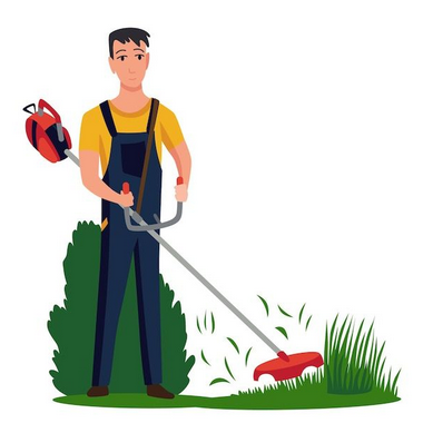 Imagen del proveedor